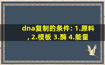 dna复制的条件: 1.原料 , 2.模板 3.酶 4.能量